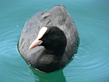 Nature Stuff - Environmental Educators