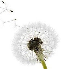 North West College of Homeopathy