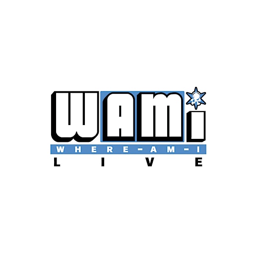 WAMI LIVE INC