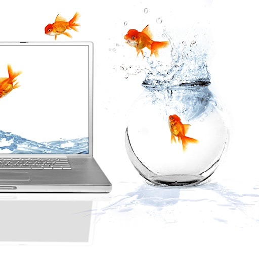 Veränderungsbegleitung mit System