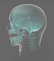 British Association of Oral Surgeons