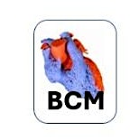 Royal Brompton Cardiac Morphology