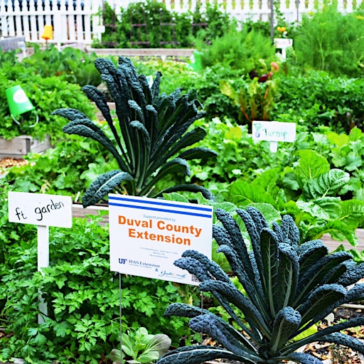 UF/IFAS Extension Duval County