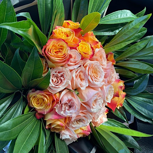 Vibrant Pop & Blossoms