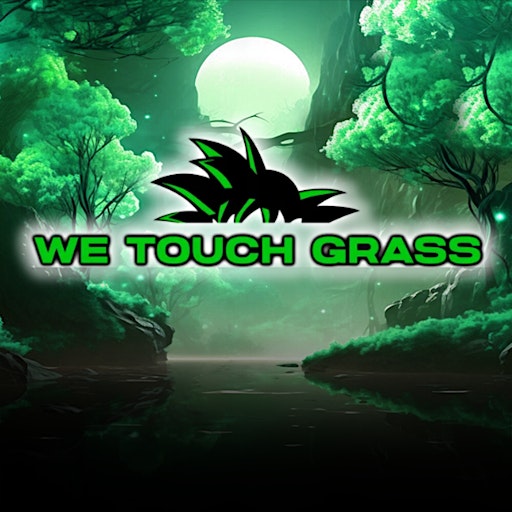 We Touch Grass