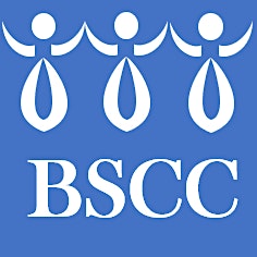 Bilateral Safety Corridor Coalition