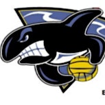 St Vincents Waterpolo