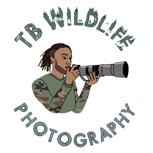 TB Wildlife Photography LLC