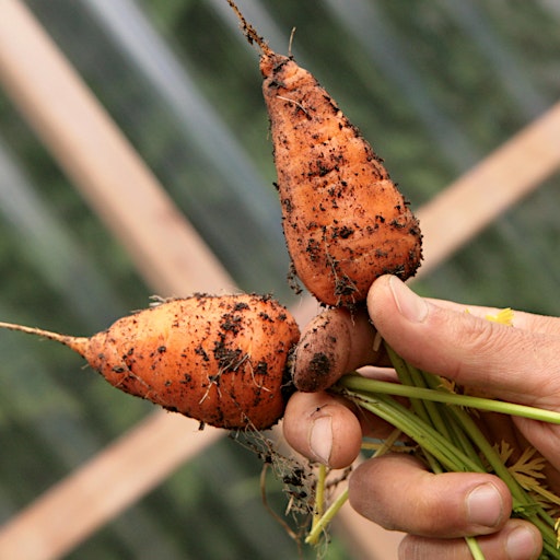 Garden for the Environment