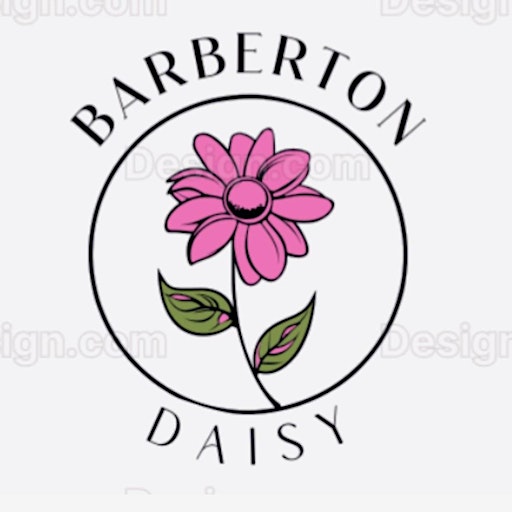 Barberton Daisy