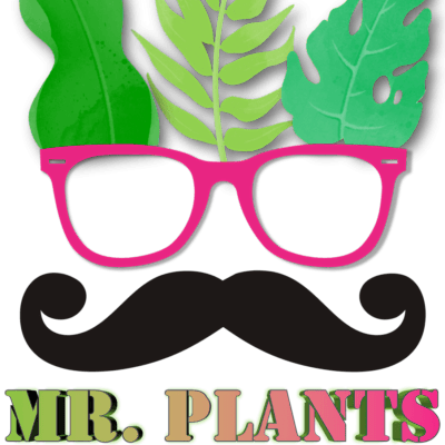 Mr. Plants GbR